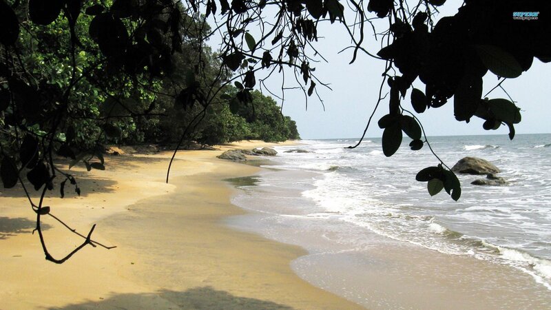 Beach with Ocean Waves — Brown, Serene