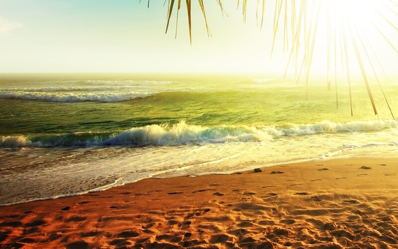 Beach with Ocean Waves — Gold, Serene