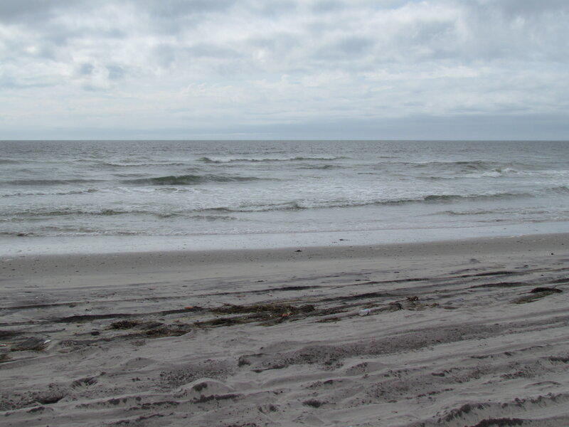 Beach with Ocean Waves — Gray