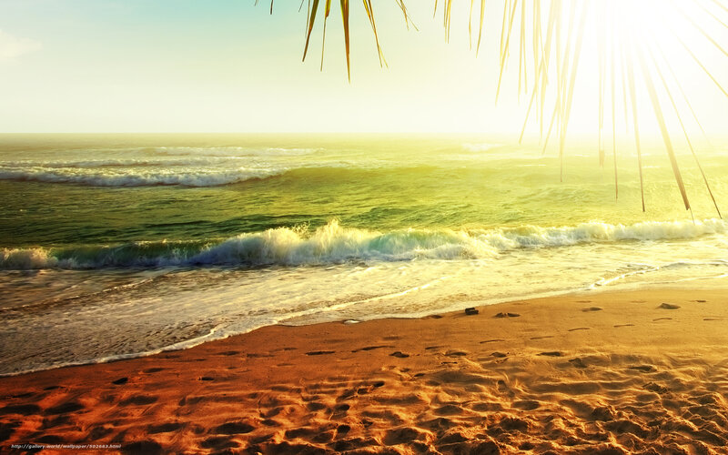 Beach with Ocean Waves — Orange, Serene