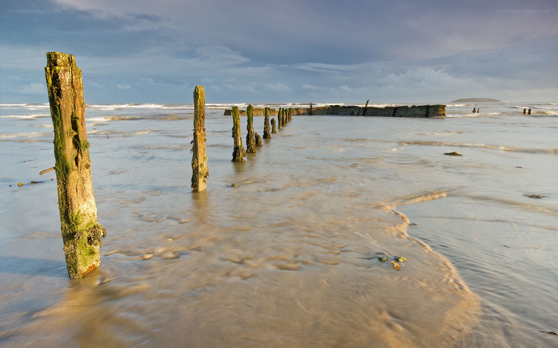 Beach with old wooden posts