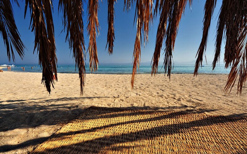 Beach with Palm Fronds — Blue, Serene, Afternoon