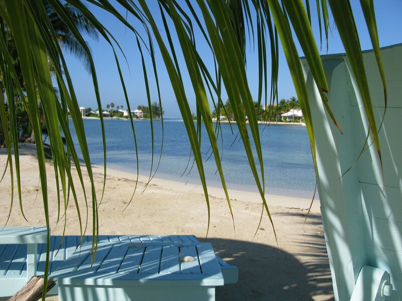 Beach with Palm Fronds — Blue, Serene