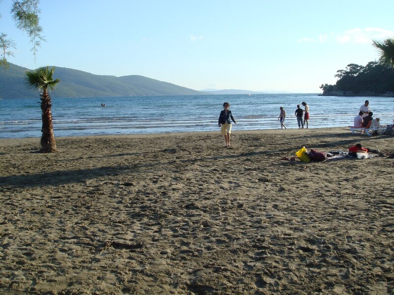 Beach with palm tree and mountains