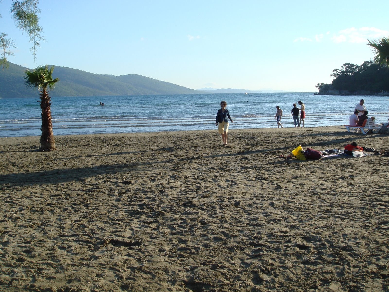 Beach with palm tree and mountains