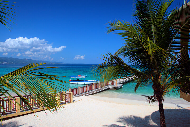Beach with Palm Tree — Blue, Serene