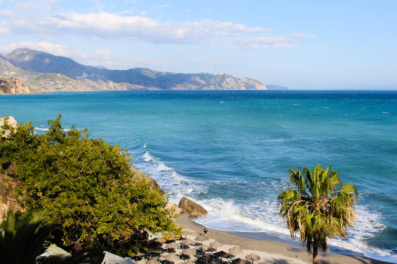 Beach with Palm Tree — Blue