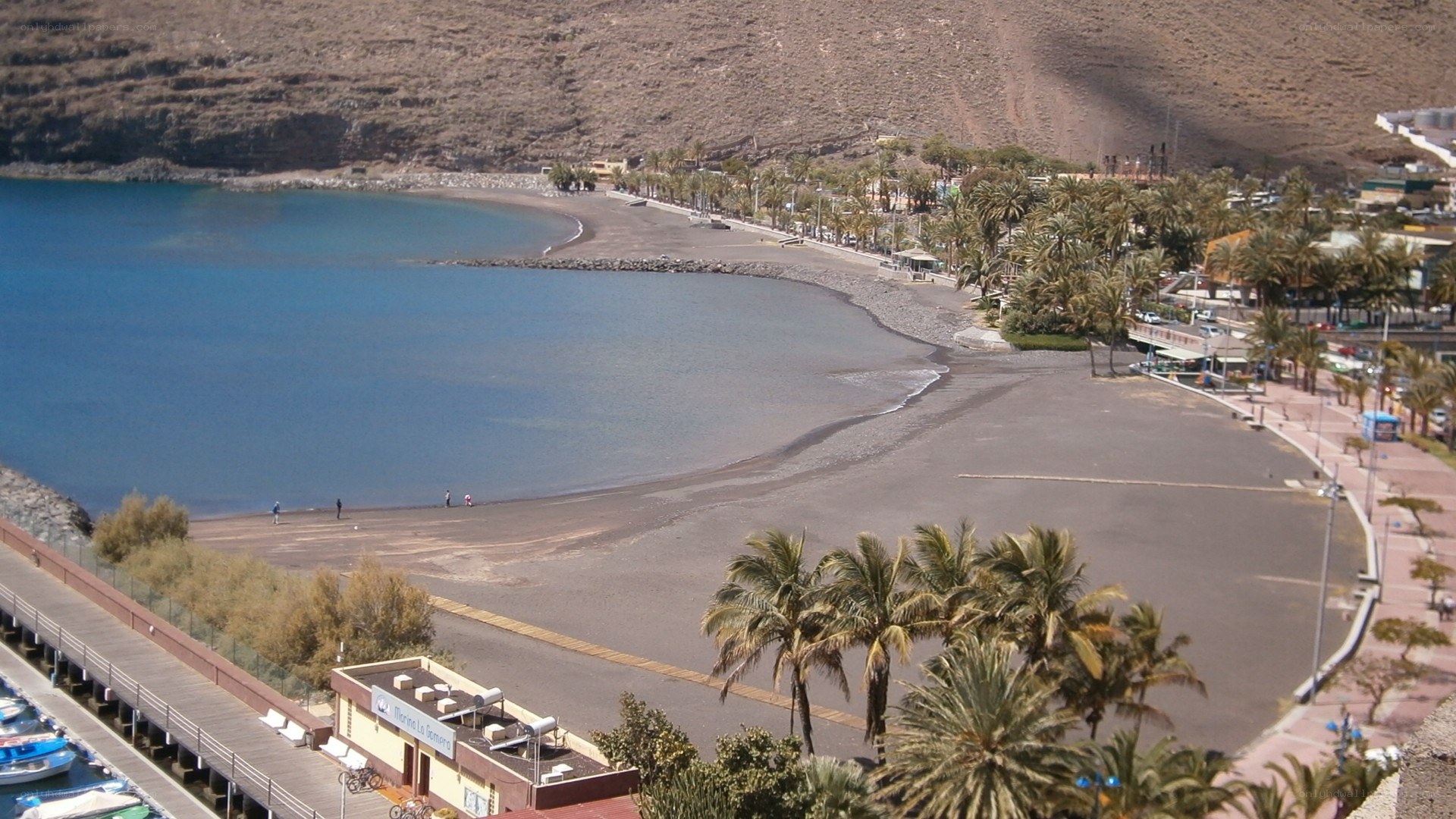 beach with palm trees and bay