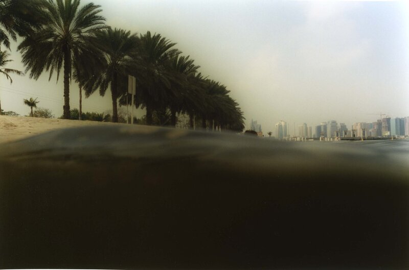 beach with palm trees and city