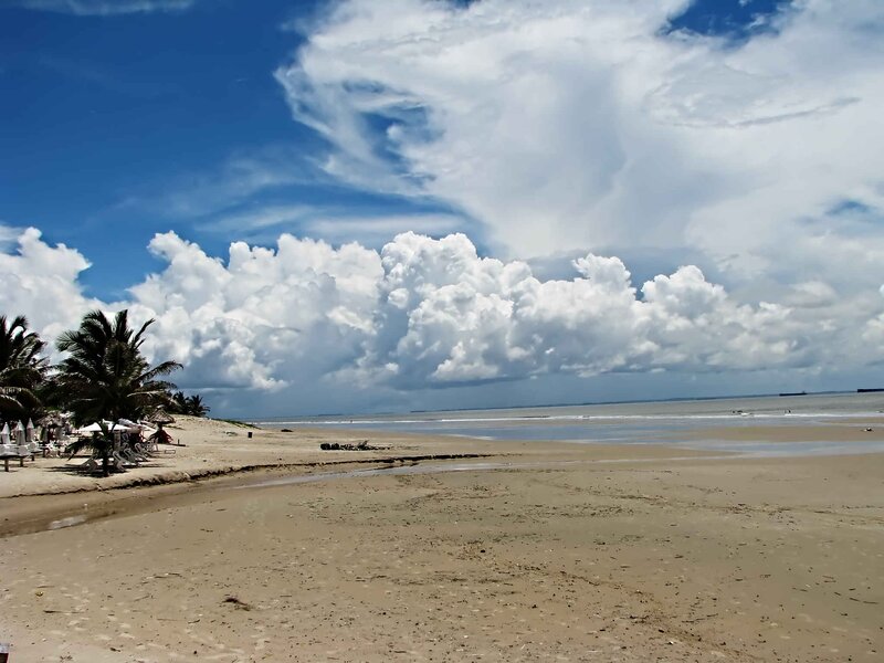 beach with palm trees and clouds