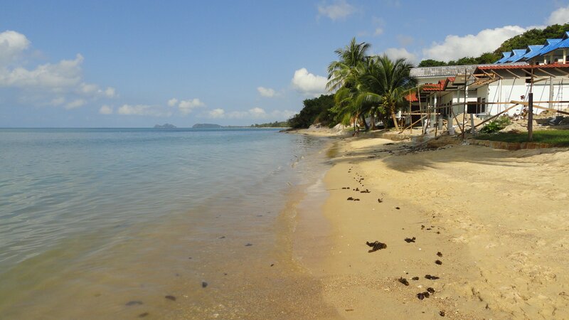 Beach with palm trees and houses