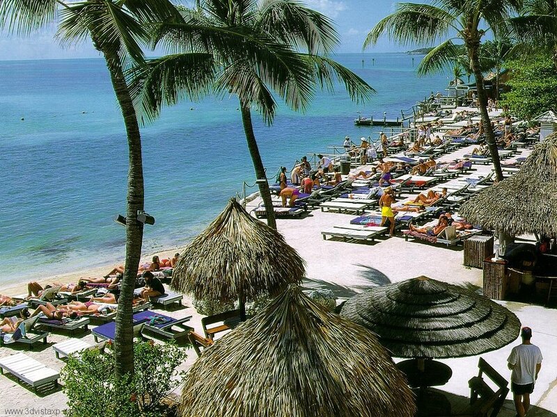 Beach with palm trees and lounge chairs