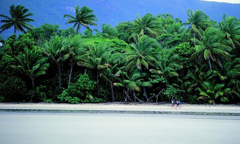 beach with palm trees and mountains