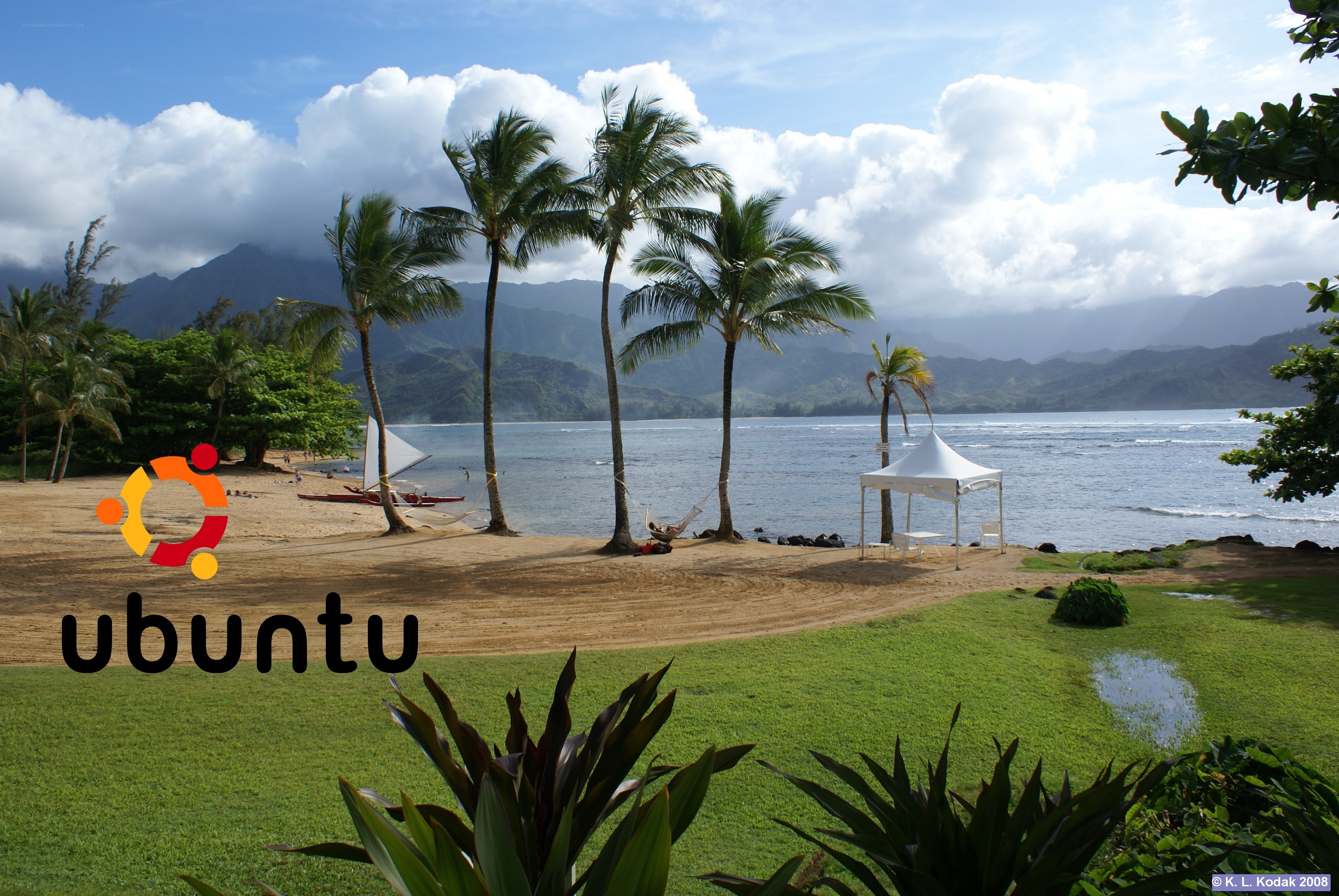beach with palm trees and mountains