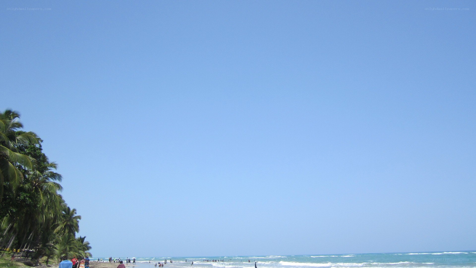 Beach with palm trees and ocean