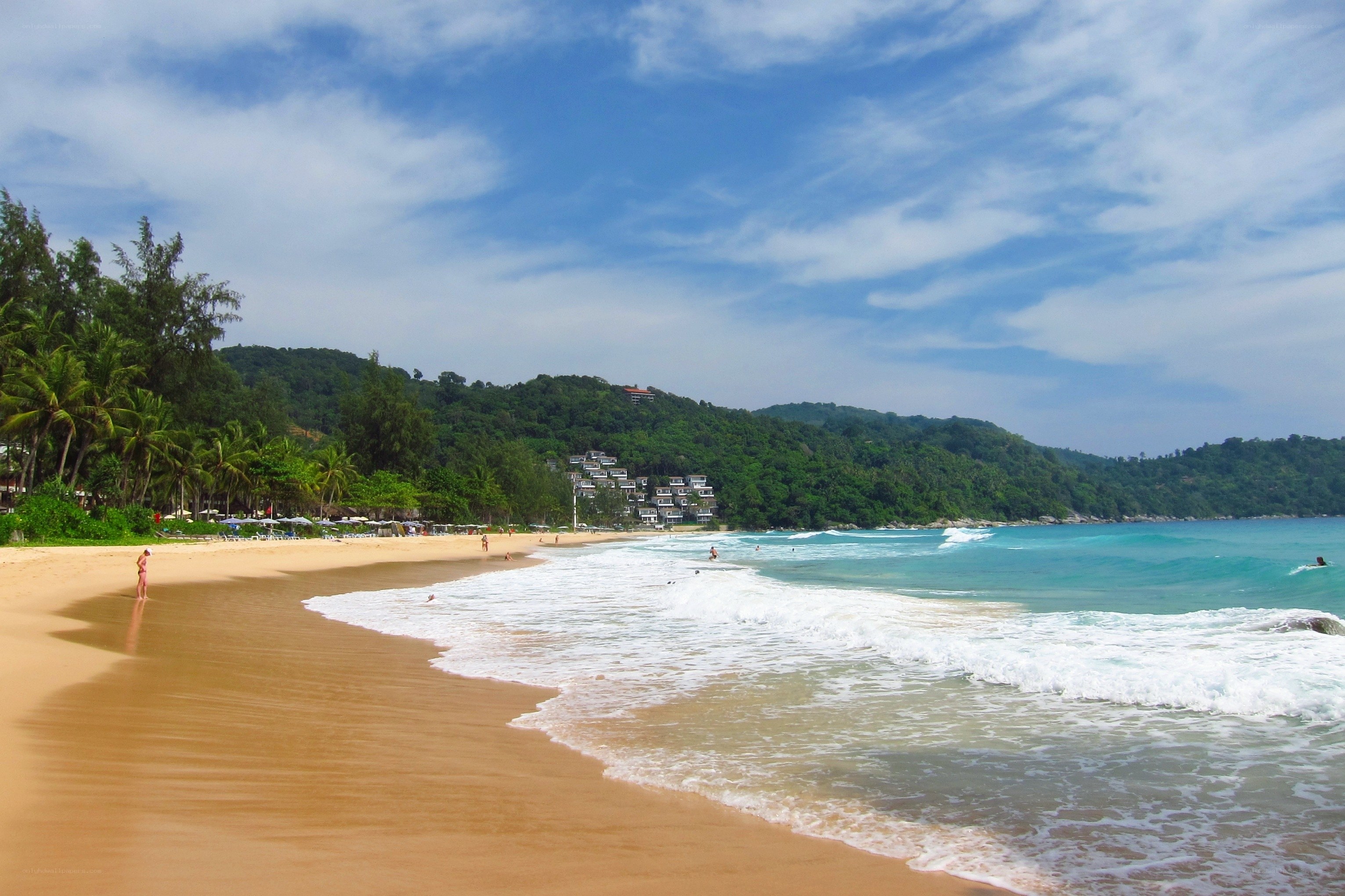Beach with palm trees and ocean