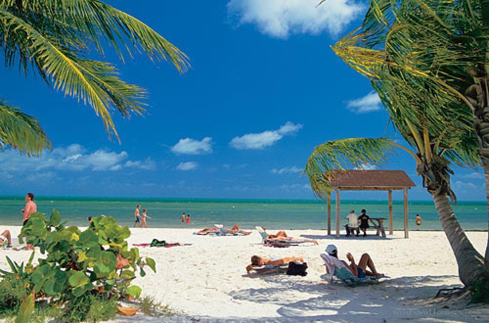 Beach with palm trees and people