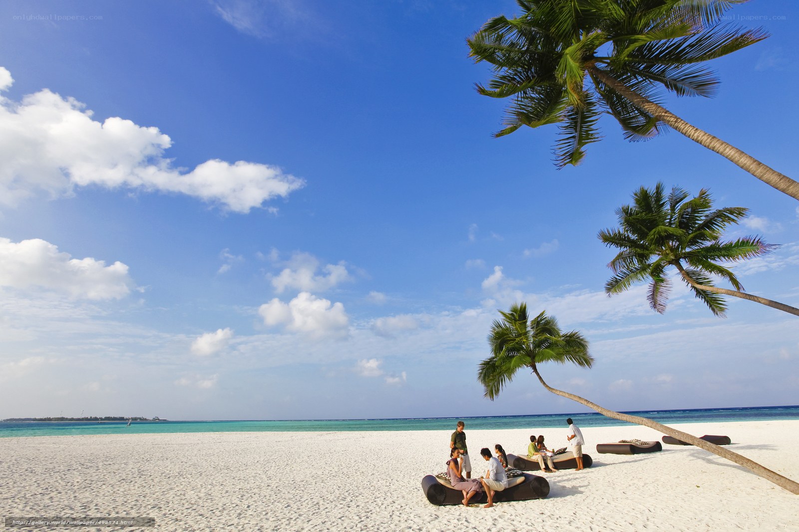 Beach with palm trees and people