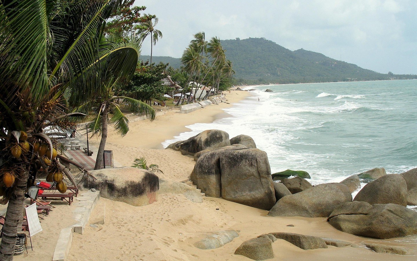 beach with palm trees and rocks