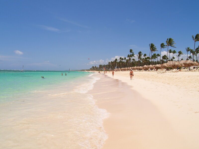 Beach with palm trees and turquoise water
