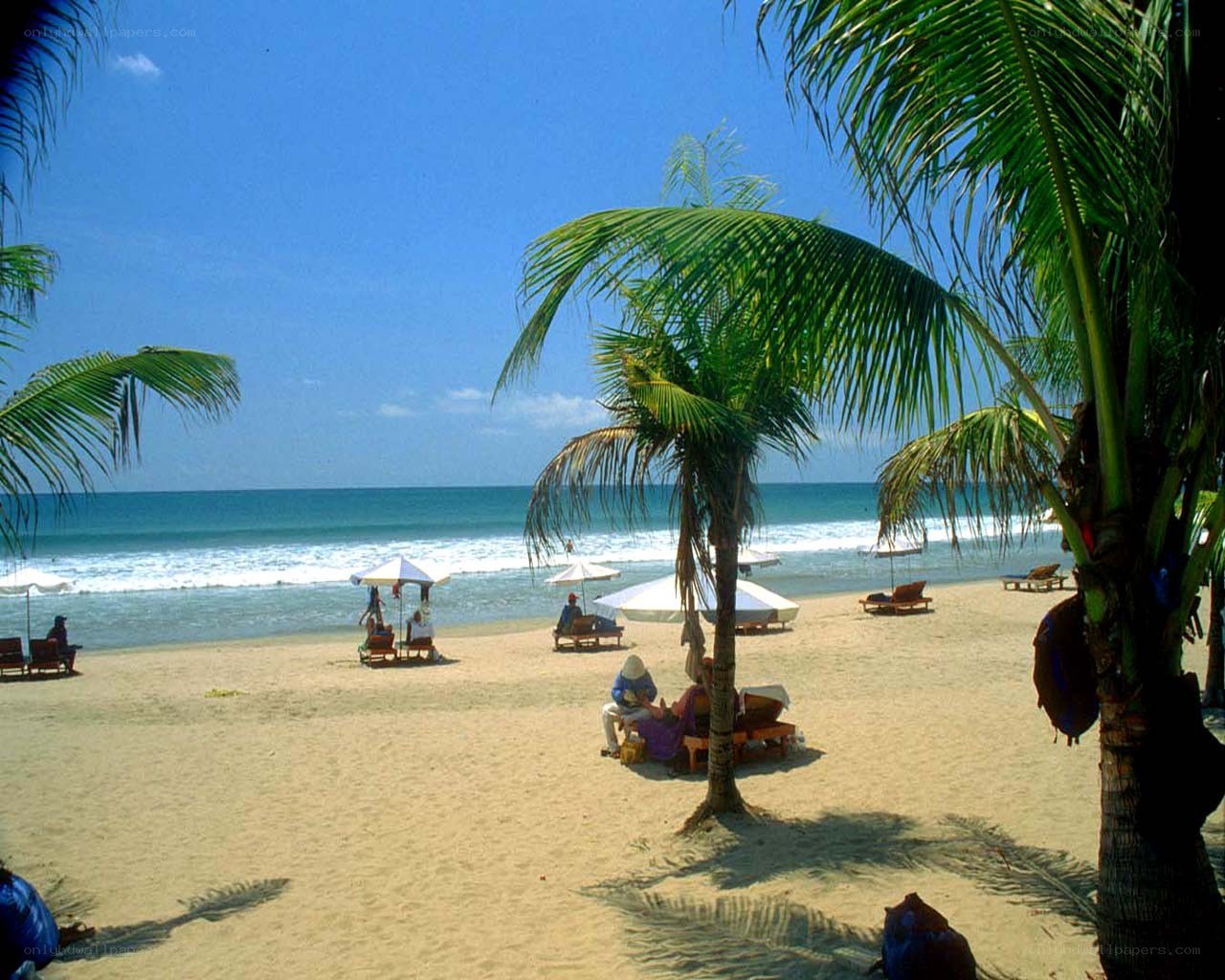 Beach with palm trees and umbrellas