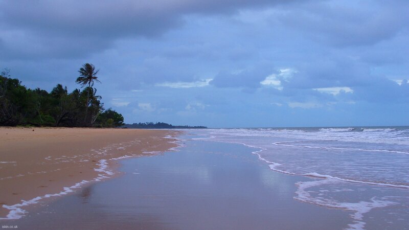 Beach with Palm Trees — Blue, Calm