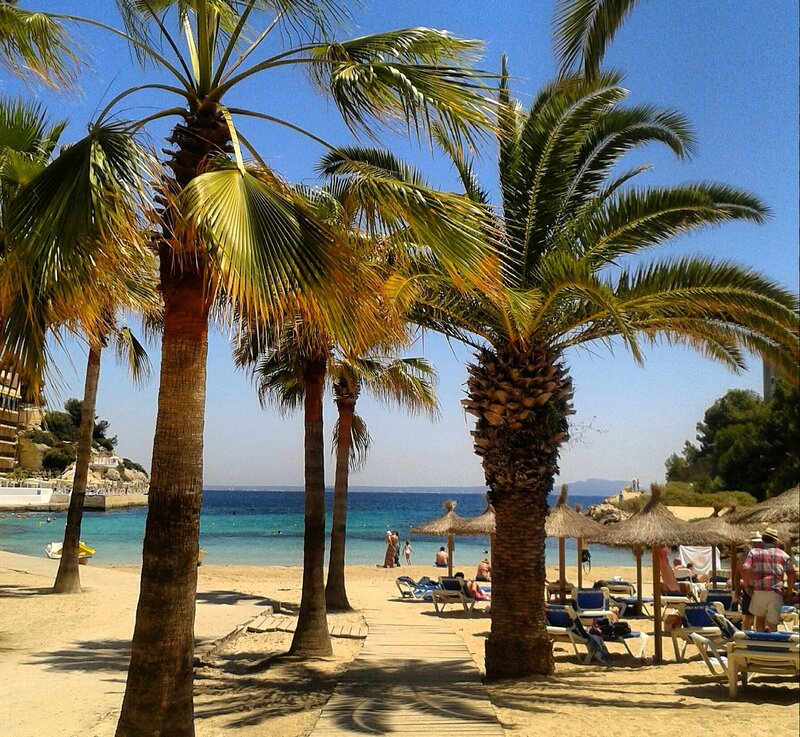 Beach with Palm Trees — Blue, Relaxed, Afternoon, Photograph, Palm Trees