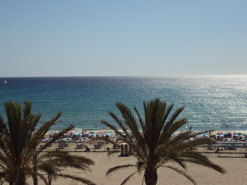 Beach with Palm Trees — Blue, Relaxed, Afternoon, Photograph, Palm Trees, Umbrellas, Ocean