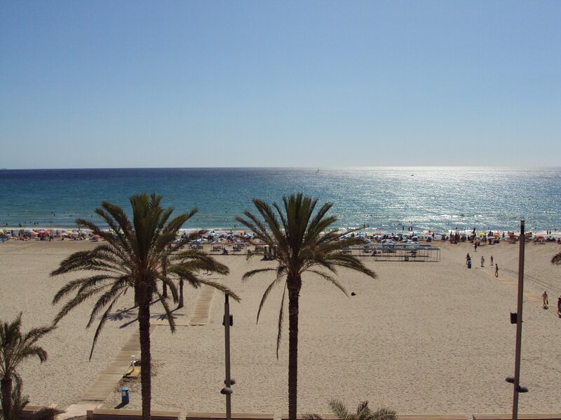 Beach with Palm Trees — Blue, Relaxed, Afternoon, Photograph, Palm Trees, Umbrellas
