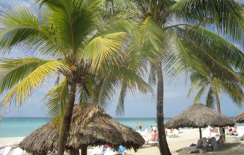 Beach with Palm Trees — Blue, Relaxed