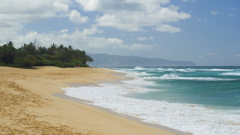 Beach with Palm Trees — Blue, Serene, Afternoon, Photograph, Ocean, Mountains