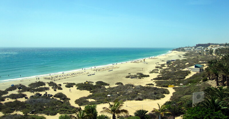 Beach with Palm Trees — Blue, Serene, Afternoon, Photograph, Ocean, Sand Dunes