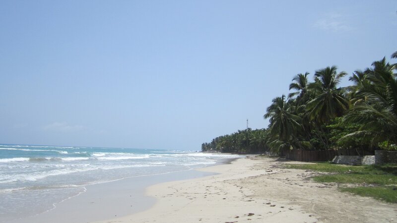 Beach with Palm Trees — Blue, Serene, Afternoon, Photograph, Ocean, Sand, Palm Trees