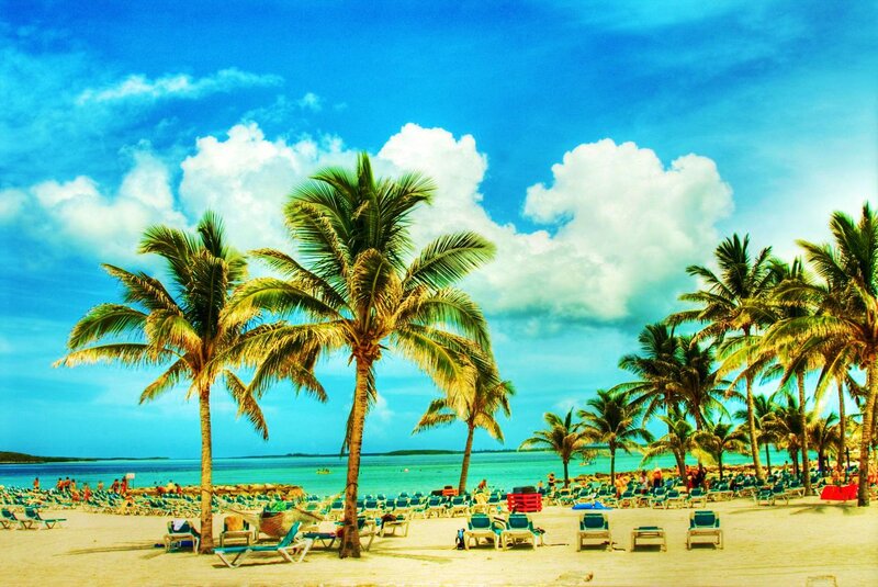 Beach with Palm Trees — Blue, Serene, Afternoon, Photograph, Palm Trees, Chairs