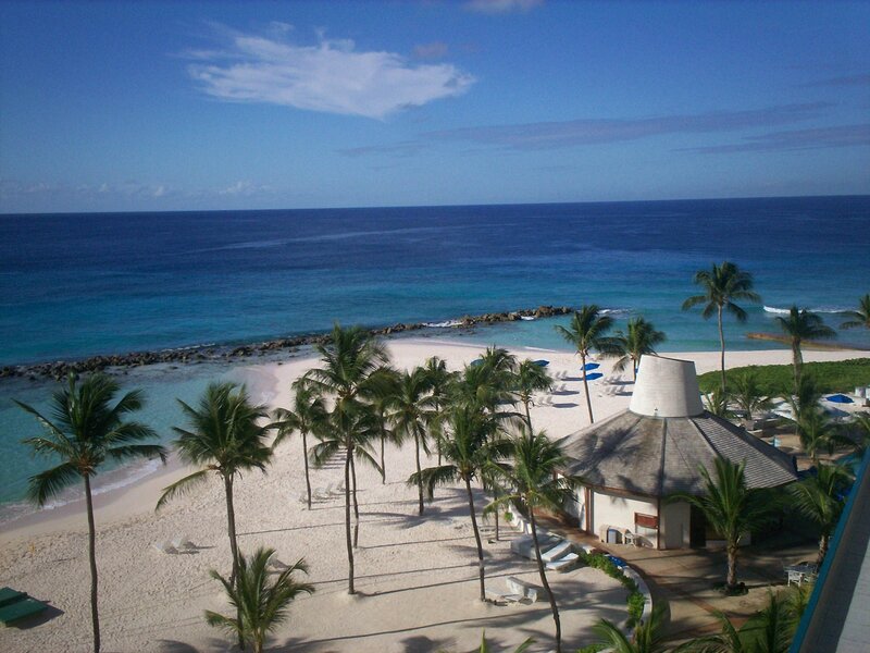 Beach with Palm Trees — Blue, Serene, Afternoon, Photograph, Palm Trees, Ocean, Building