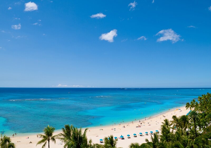 Beach with Palm Trees — Blue, Serene, Afternoon, Photograph, Palm Trees, Ocean