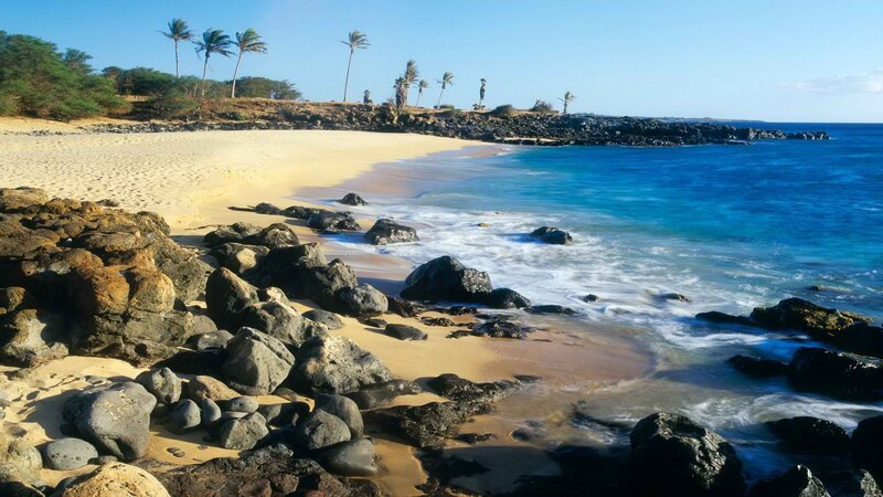 Beach with Palm Trees — Blue, Serene, Afternoon, Photograph, Palm Trees, Rocks, Ocean, Yellow