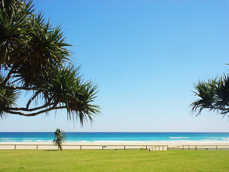 Beach with Palm Trees — Blue, Serene, Afternoon, Photograph, Palm Trees, Sand, Ocean, Grass