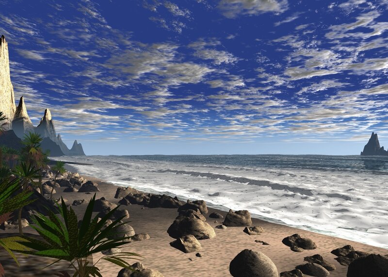 Beach with Palm Trees — Blue, Serene, Afternoon