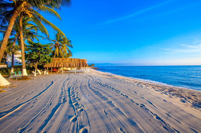 Beach with Palm Trees — Blue, Serene, Morning