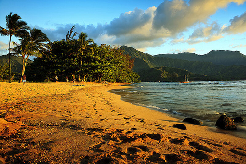 Beach with Palm Trees — Blue, Serene, Sunset