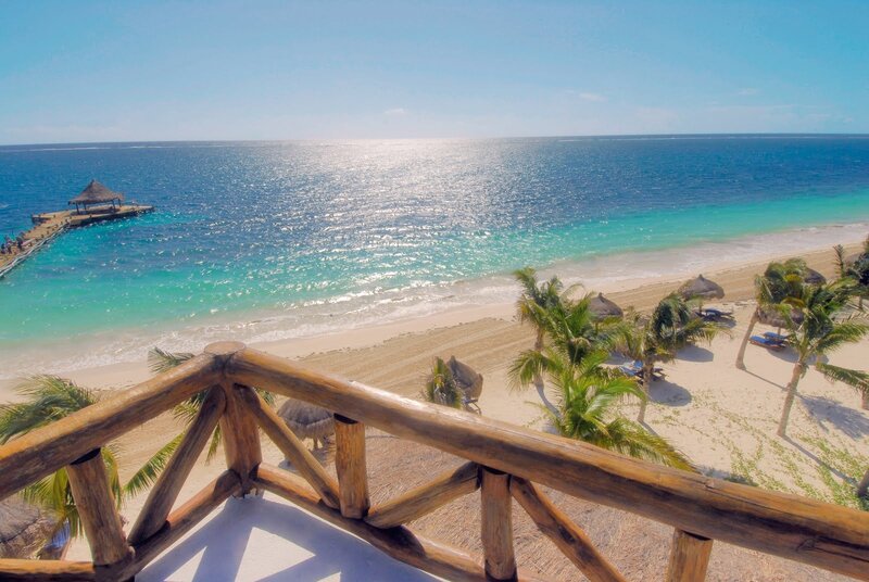 Beach with Palm Trees — Blue, Serene