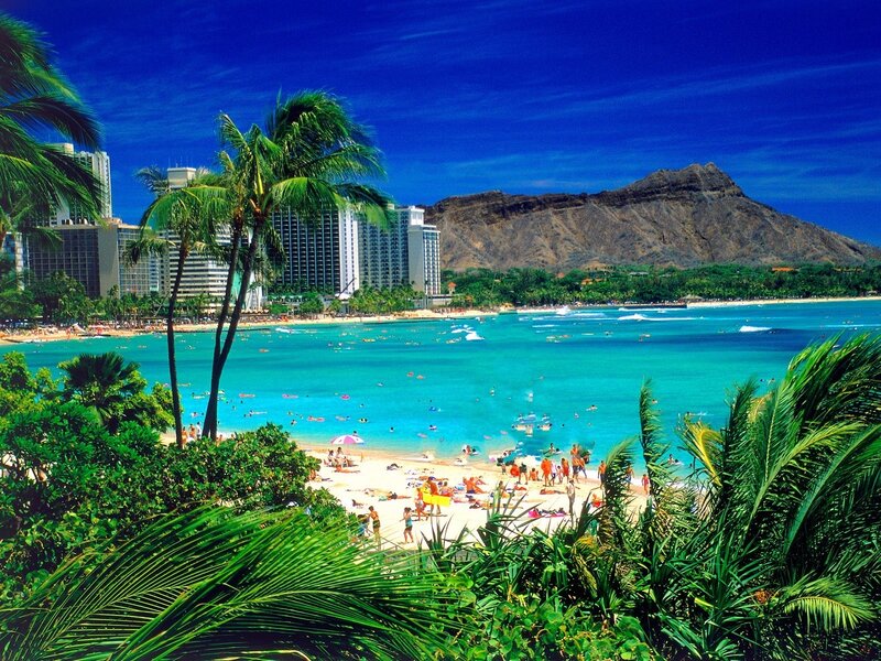 Beach with Palm Trees — Blue, Tropical