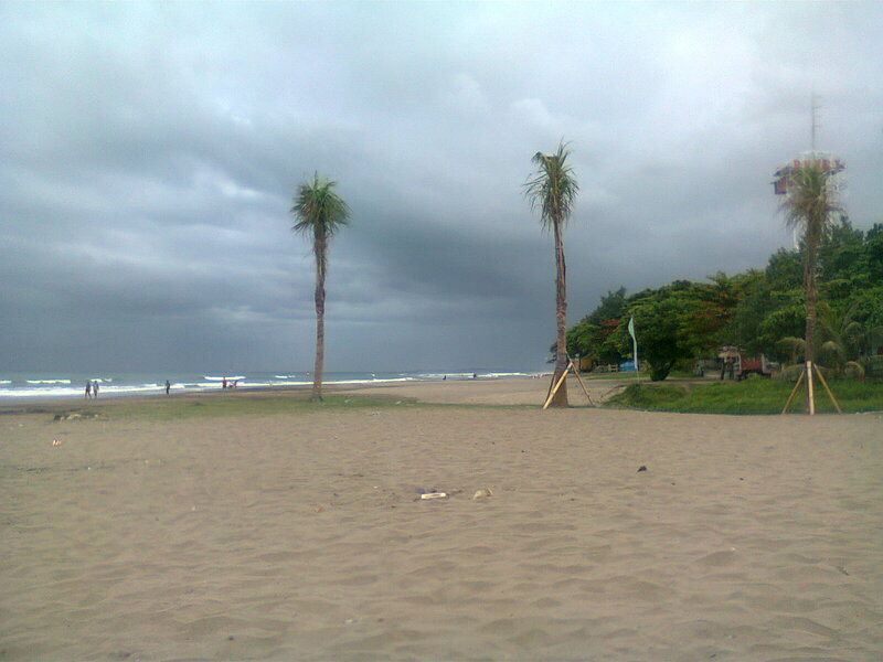 Beach with Palm Trees — Gray