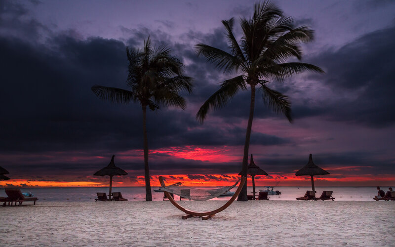 Beach with Palm Trees — Purple