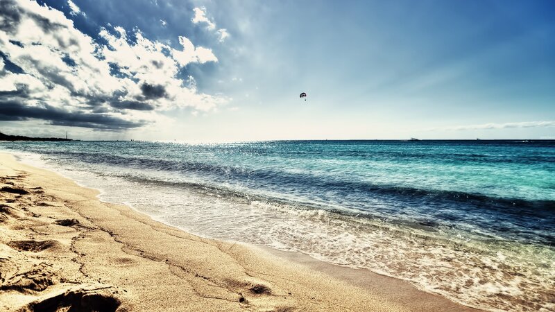 Beach with parasailing