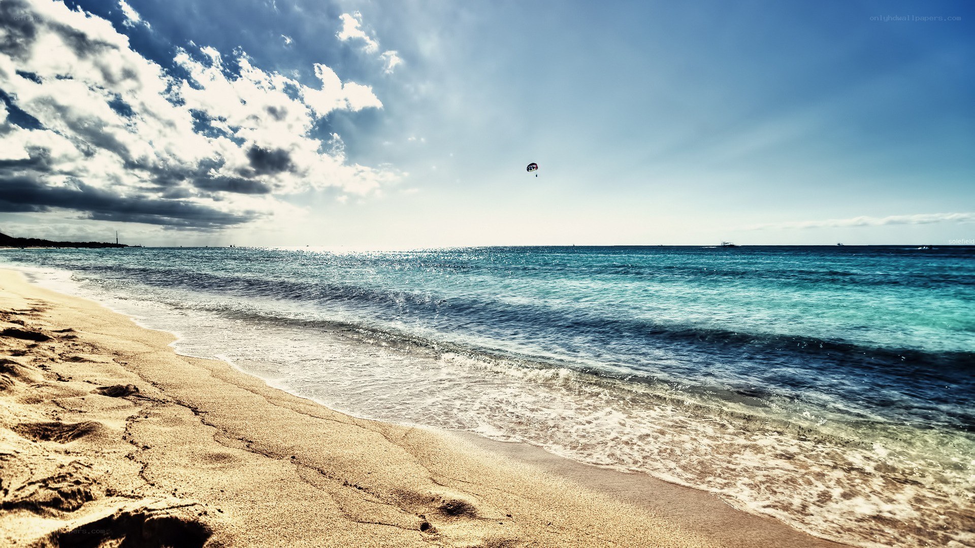 Beach with parasailing