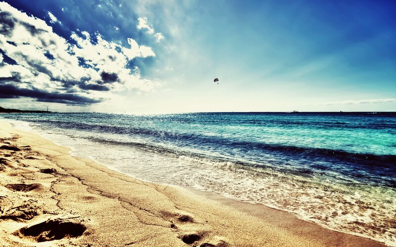 Beach with parasailing