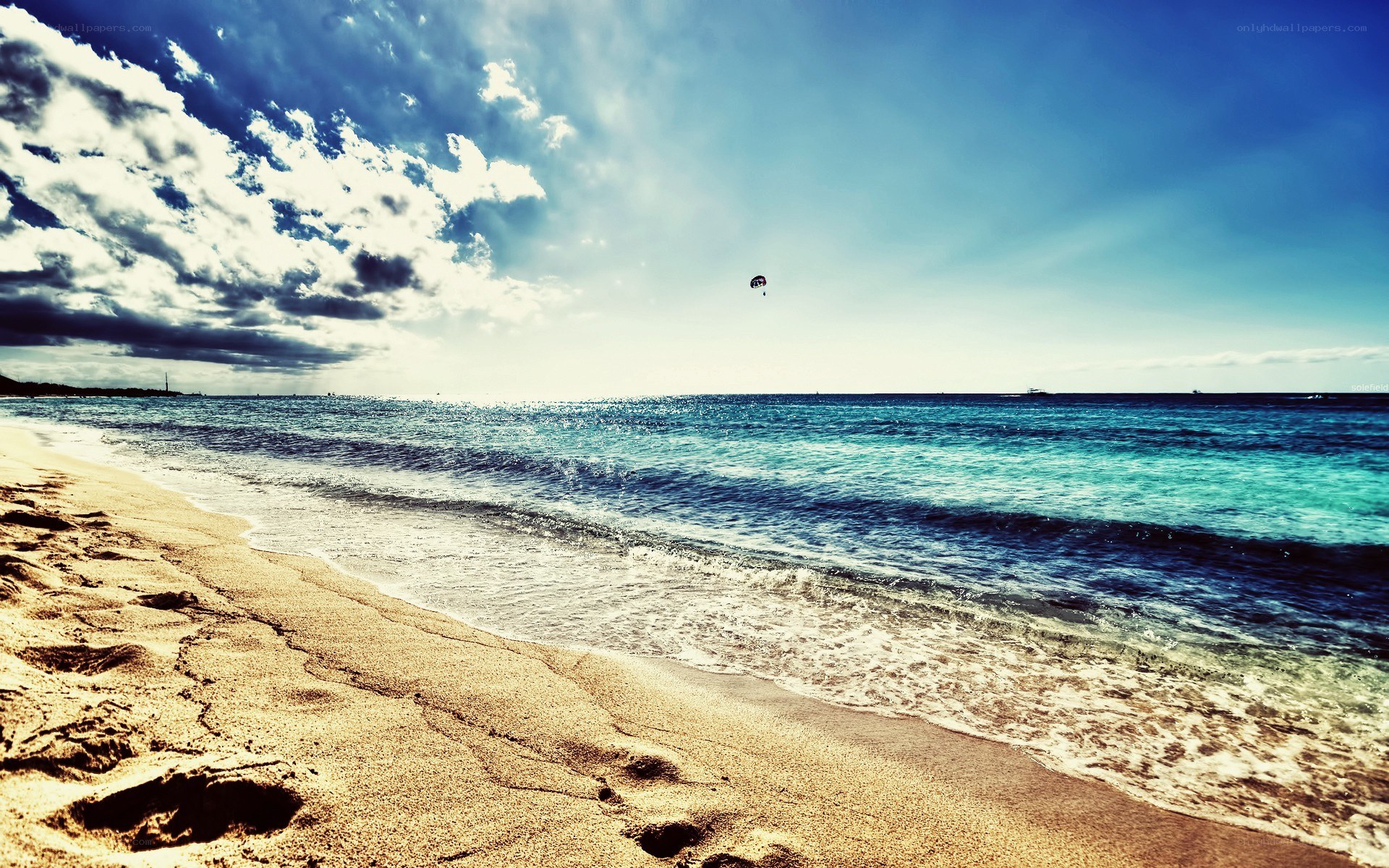 Beach with parasailing