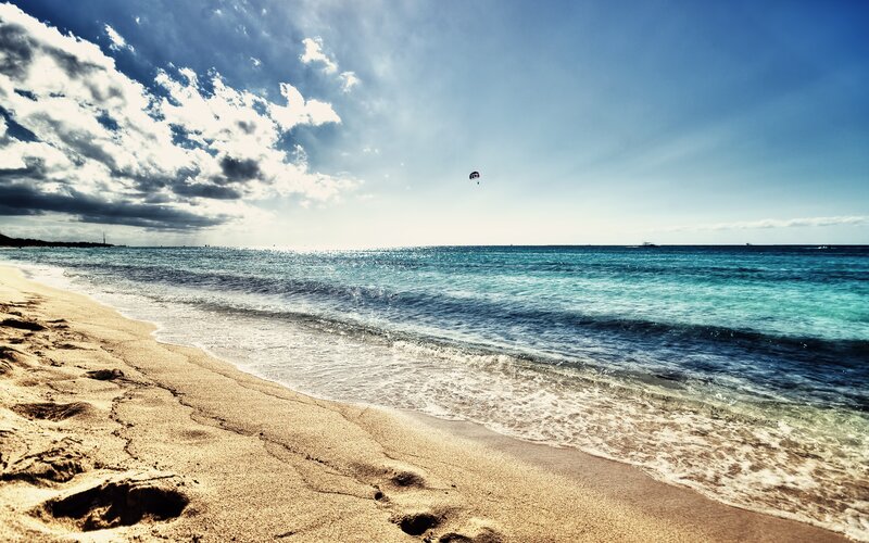 Beach with parasailing
